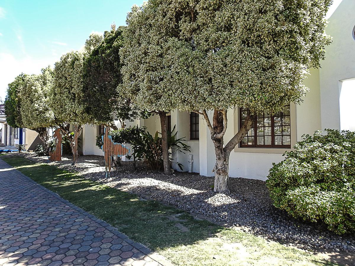 Mosselbay Backpackers Vandrarhem Mossel Bay Exteriör bild
