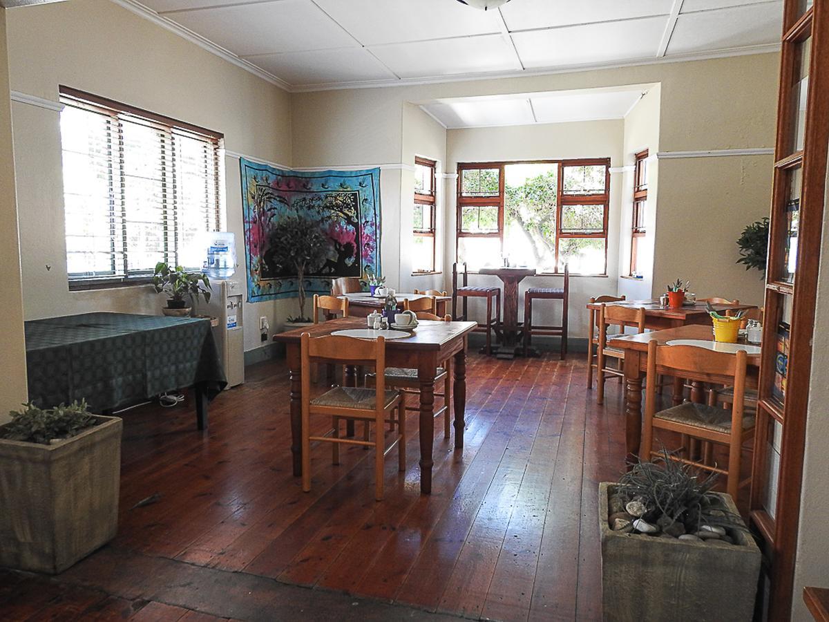 Mosselbay Backpackers Vandrarhem Mossel Bay Exteriör bild
