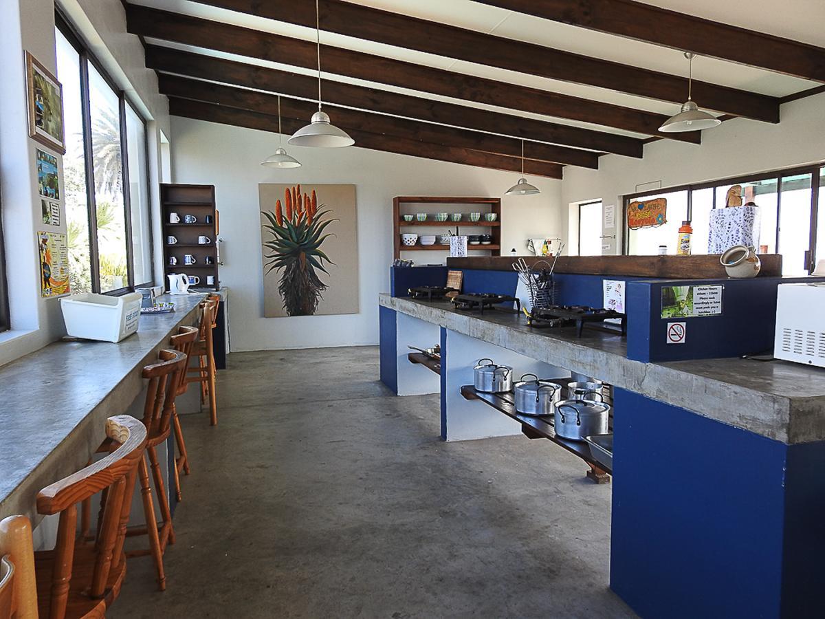 Mosselbay Backpackers Vandrarhem Mossel Bay Exteriör bild
