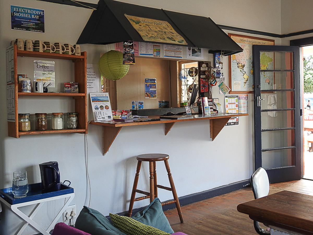 Mosselbay Backpackers Vandrarhem Mossel Bay Exteriör bild