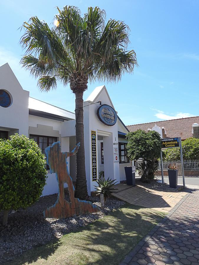 Mosselbay Backpackers Vandrarhem Mossel Bay Exteriör bild