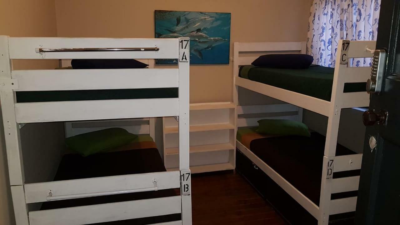 Mosselbay Backpackers Vandrarhem Mossel Bay Exteriör bild